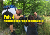 Sat1Puls4 TV: Kräuterwanderung Wien mit Reini Rossmann