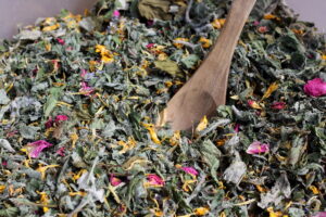 Kräuterwanderung - Herbstkräuter als Tee
